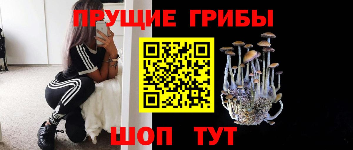Псилоцибиновые грибы мицелий Кандалакша